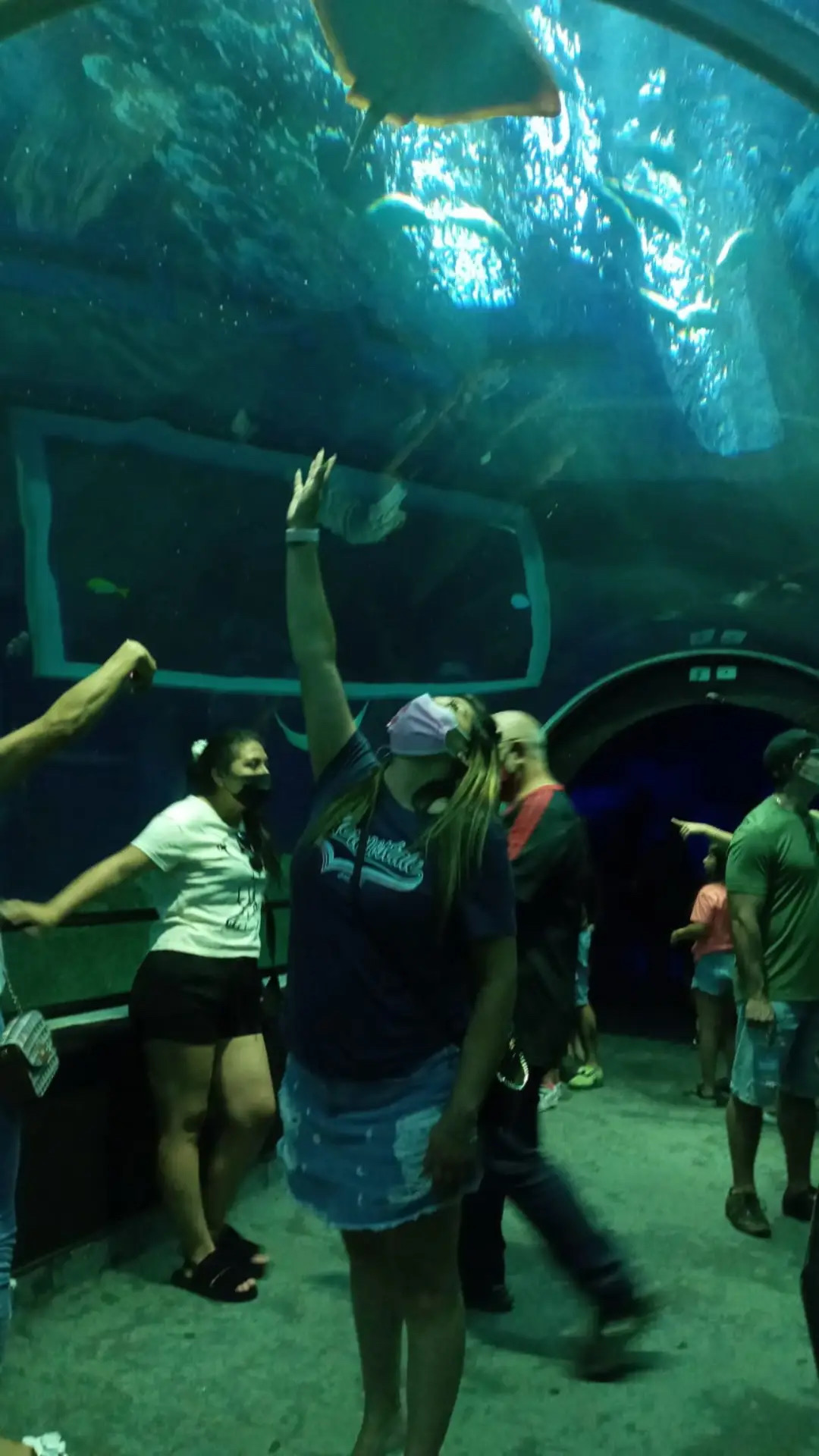 Acuario + Boulevard Olímpico — foto 3 | Tour en Río de Janeiro en español