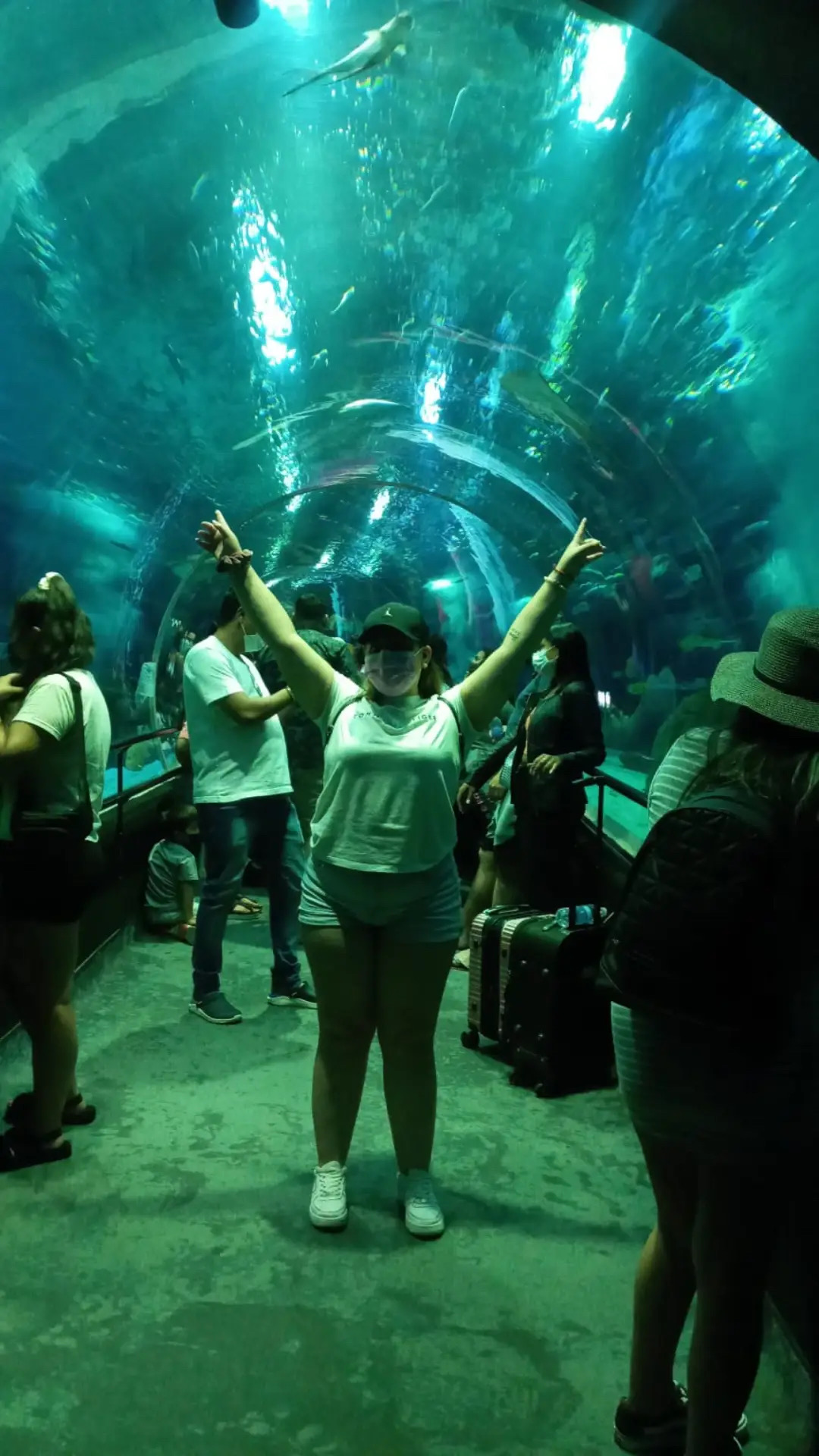 Acuario + Boulevard Olímpico — foto 4 | Tour en Río de Janeiro en español