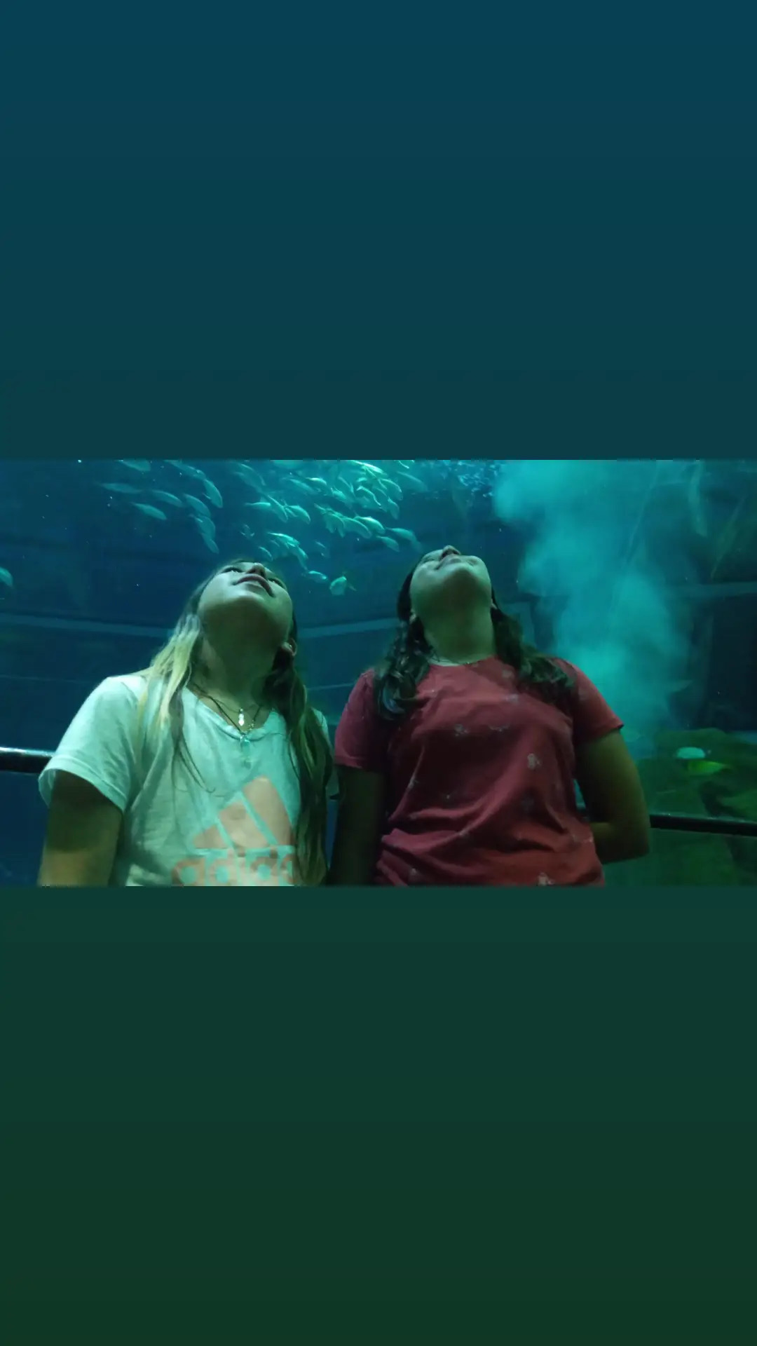 Acuario + Boulevard Olímpico — foto 5 | Tour en Río de Janeiro en español