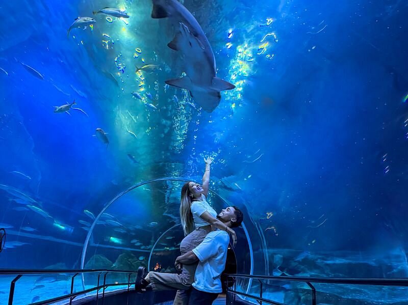 Acuario + Boulevard Olímpico — foto 1 | Tour en Río de Janeiro en español
