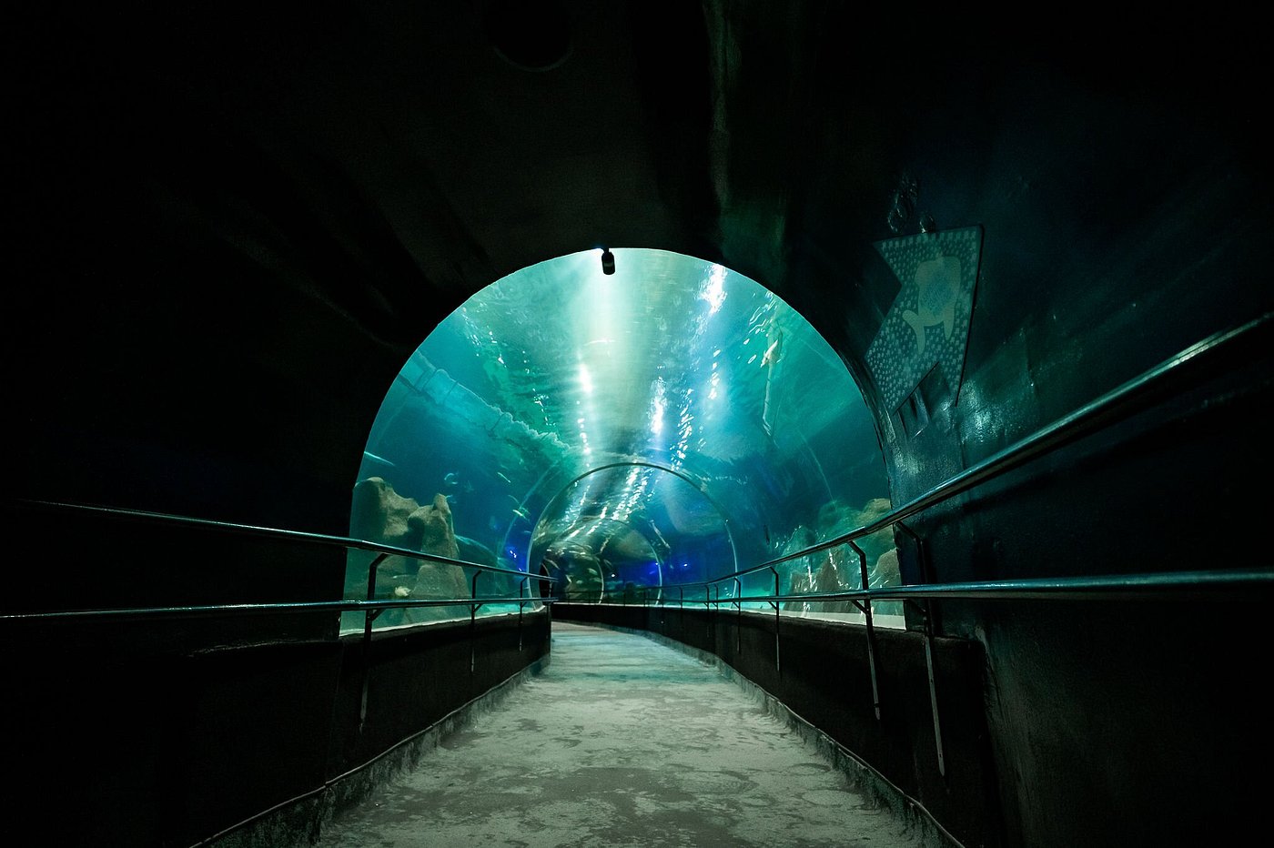 Acuario + Boulevard Olímpico — foto 2 | Tour en Río de Janeiro en español
