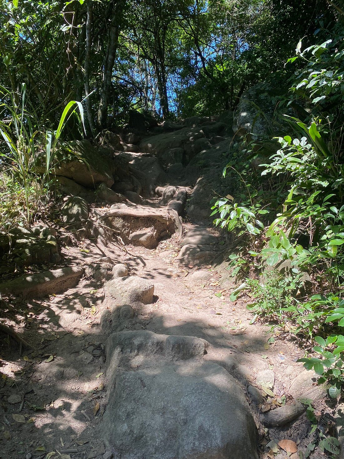 Pedra do Telégrafo — foto 7 | Tour en Río de Janeiro en español